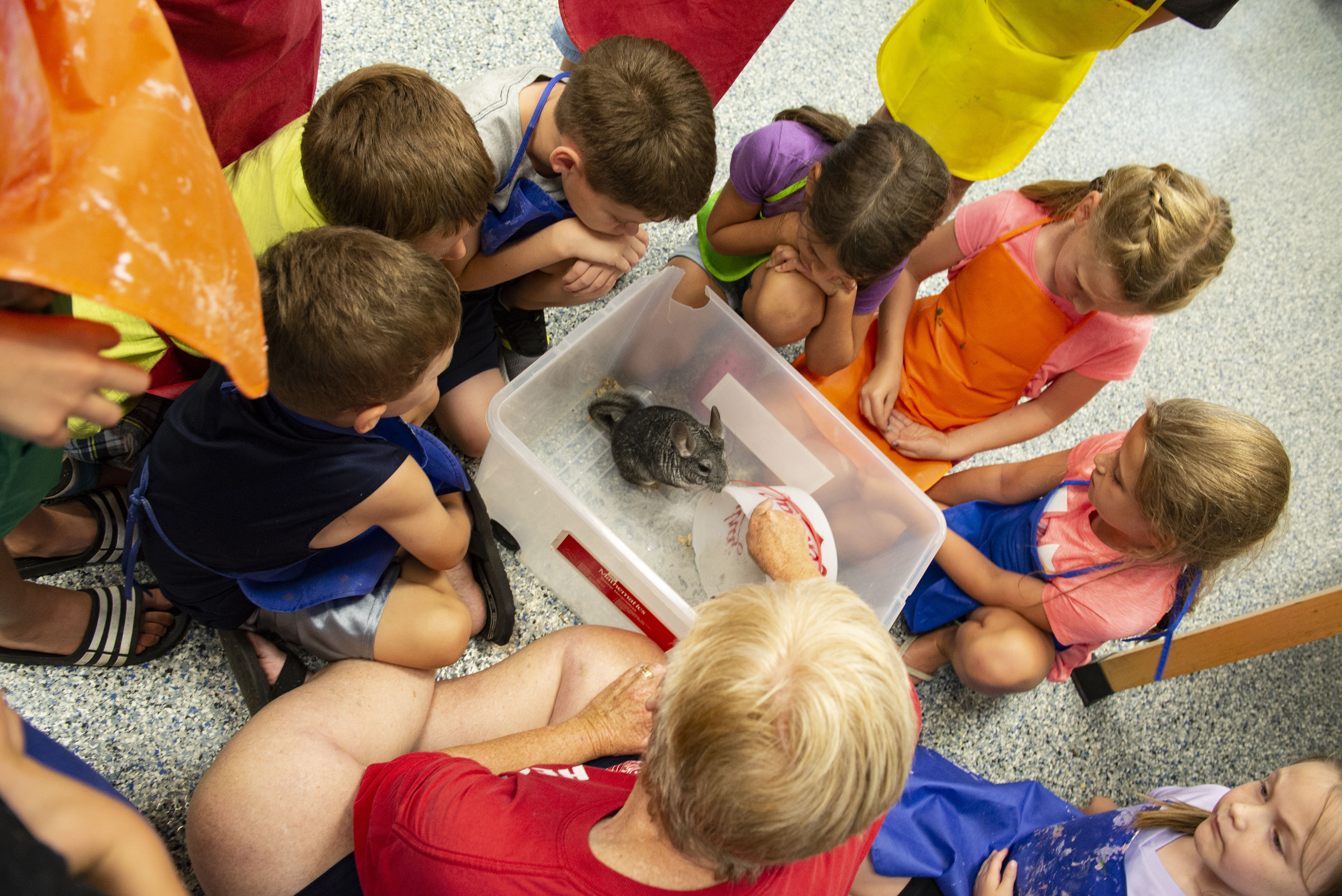 photo teacher and children observing a chinchilla