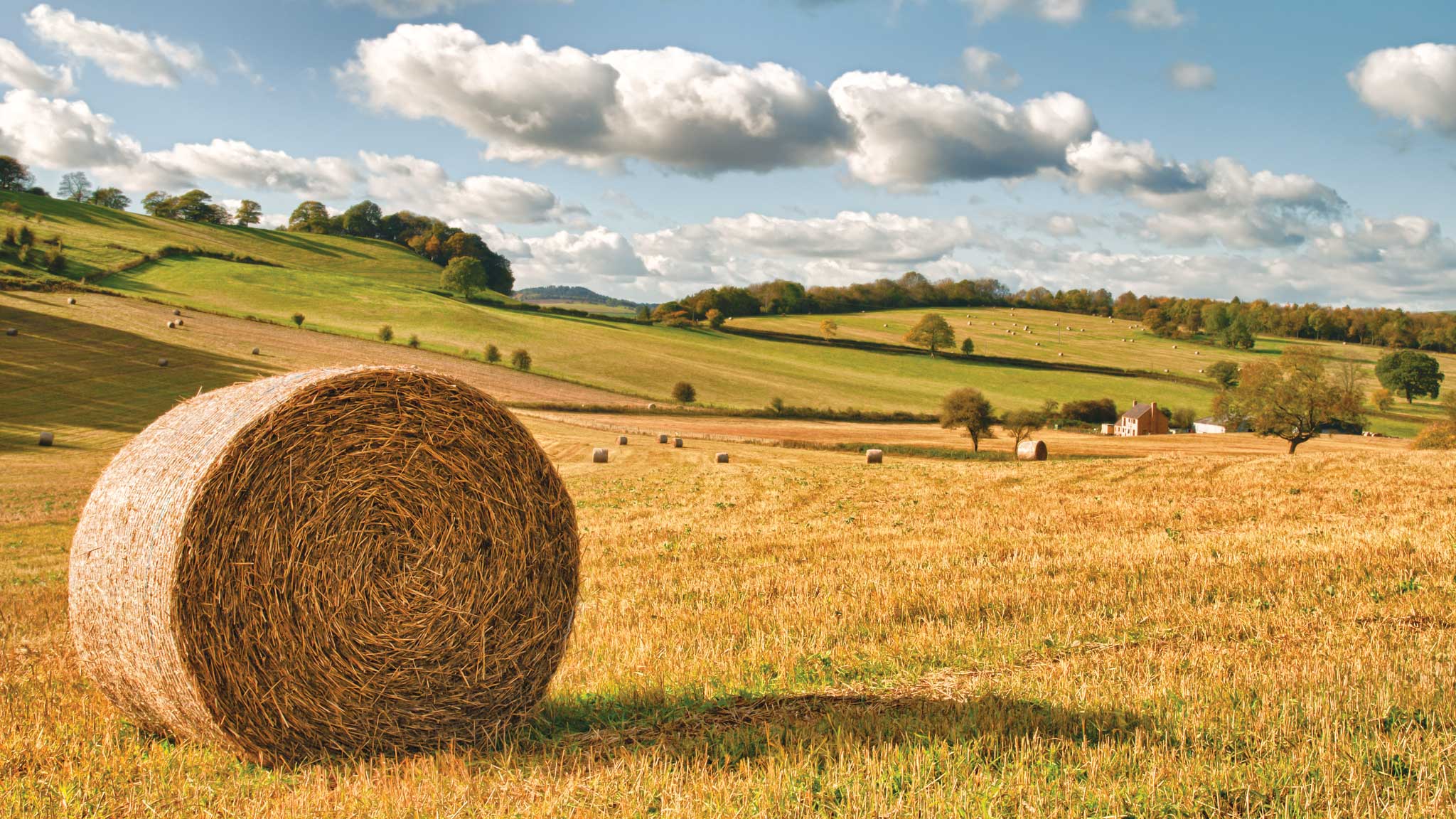 Read more about Missouri SBDC to host free rural workforce recruitment and retention webinar